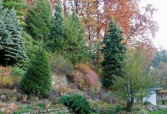 Blick auf den Hang (2)