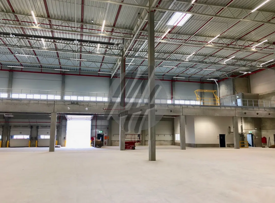 INFOS UNTER: 06171-586000