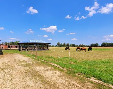 Soest Bauernhöfe, Landwirtschaft, Soest Forstwirtschaft