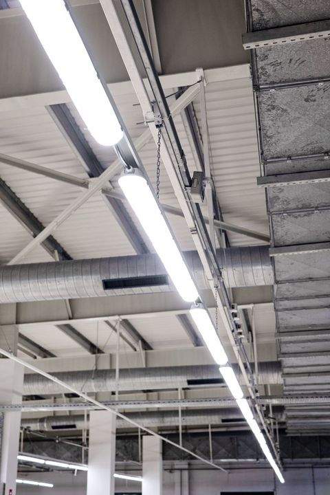 Mannheim Halle, Mannheim Hallenfläche