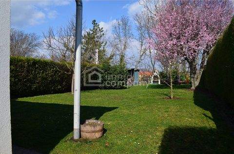 Velm Häuser, Velm Haus kaufen