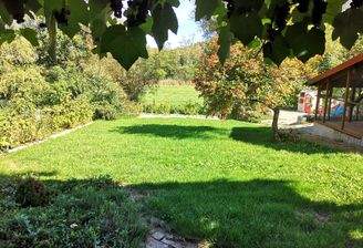 W1 EG Garten a.jpg