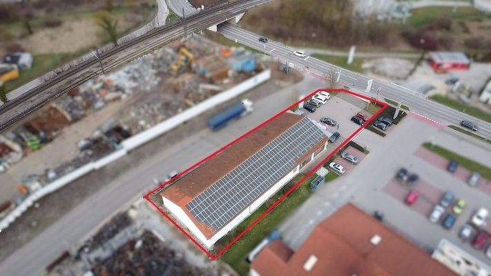 Vogel neu neu neu pixel