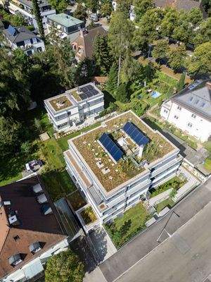 extensive Dachbegrünung