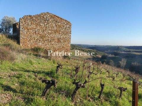 Béziers Häuser, Béziers Haus kaufen