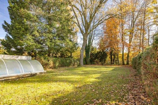 Prachtvoll eingewachsener Garten