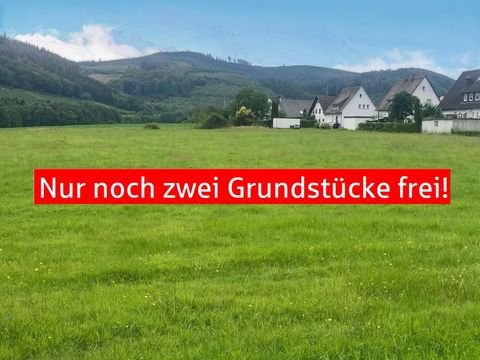 Meschede Grundstücke, Meschede Grundstück kaufen