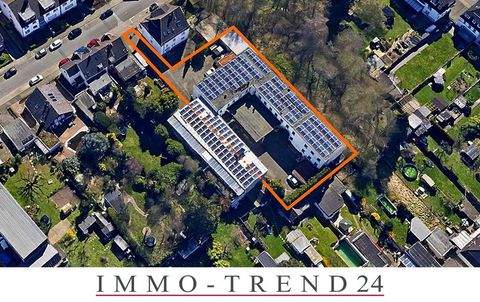 Solingen Halle, Solingen Hallenfläche