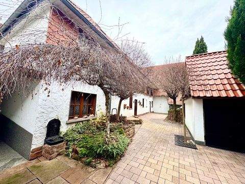 Lampertheim Häuser, Lampertheim Haus kaufen