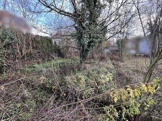 Einfriedung im hinteren Teil