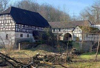 14 Baumfällarbeiten im Herbst 2024.JPG