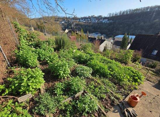 Platz für Ihren Kräutergarten oder Ihr Gemüsebeet_#141318