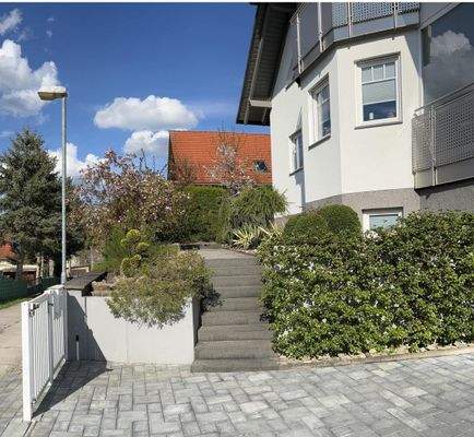 Blick in den Vorgarten