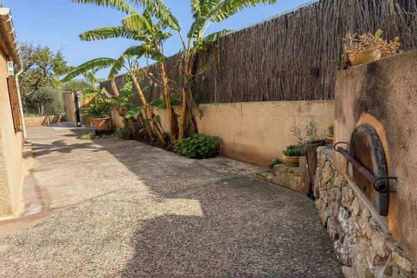 Alter Steinofen und Bananenpflanze