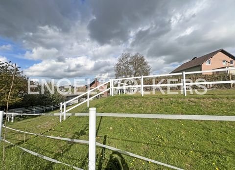 Neu-Anspach Bauernhöfe, Landwirtschaft, Neu-Anspach Forstwirtschaft