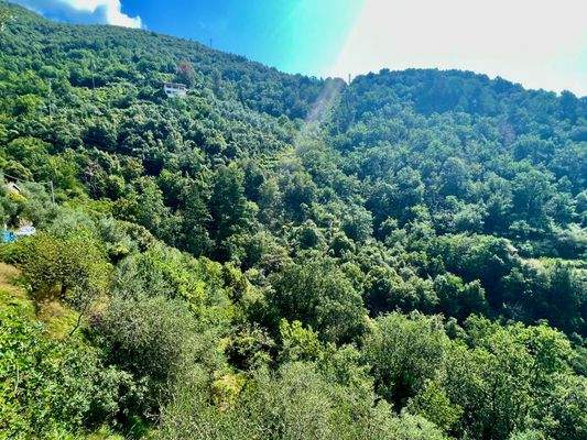 CV924_16 TERRA ITALIA IMMOBILIEN_LIGURIEN_LANDHAUS