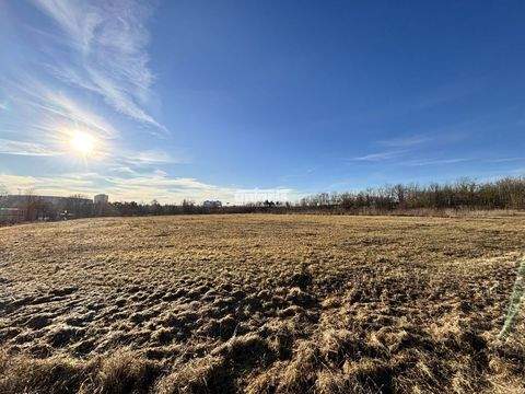 Erfurt Industrieflächen, Lagerflächen, Produktionshalle, Serviceflächen