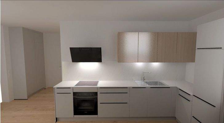 Moderne Einbauküche