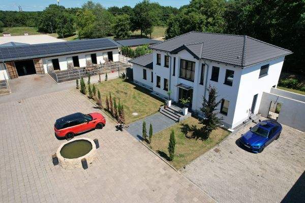 dji_fly_20250613_113852_110_1751465989517_photo.JP