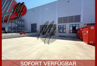 INFOS UNTER: 06171-586000