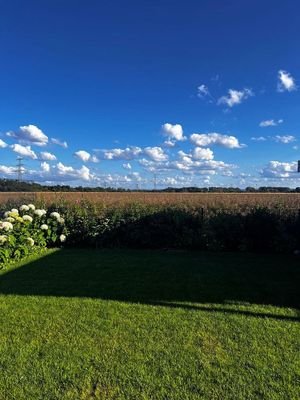 Gartensicht ins freie Feld