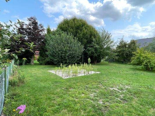 Ansicht von hinten (aktuell gerodet)