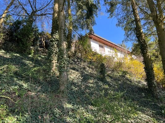 Blick vom Grundstück aufs Haus
