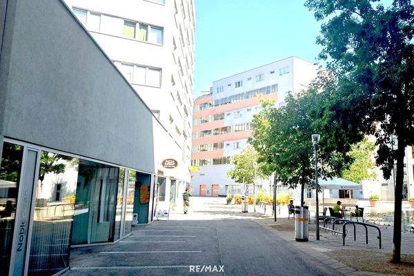 17 Verkehrsberuhigte Zone