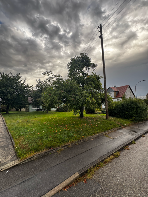 Gundelsheim Grundstücke, Gundelsheim Grundstück kaufen