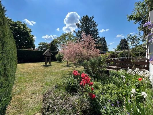 Einblick Vordergarten Teil 1