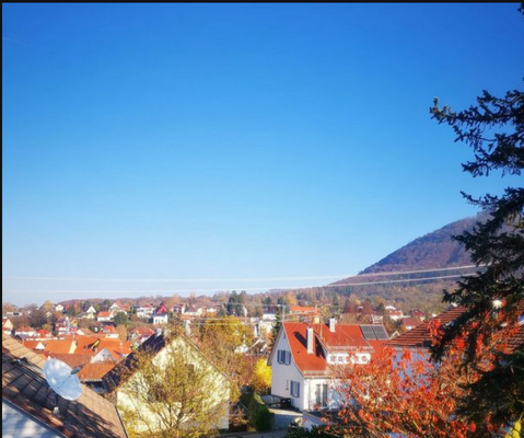 Neuffen Blick zur Burg