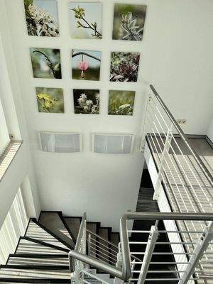 heller freundlicher Aufgang 