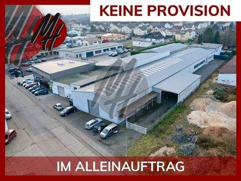 Friedberg Halle, Friedberg Hallenfläche