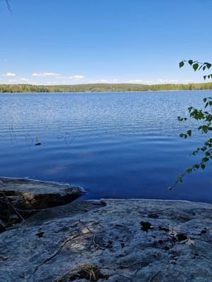 IMG_6087.jpeg