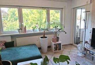 Wohnbereich mit Blick zum Garten