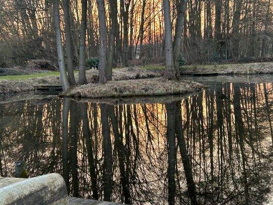 Blick auf Teich mit Insel und Bootssteg