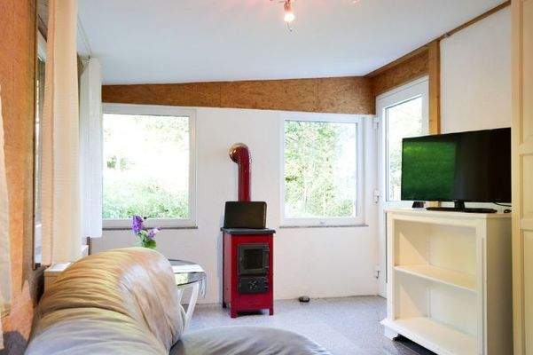 086 TV, Kamin (1 von 1)