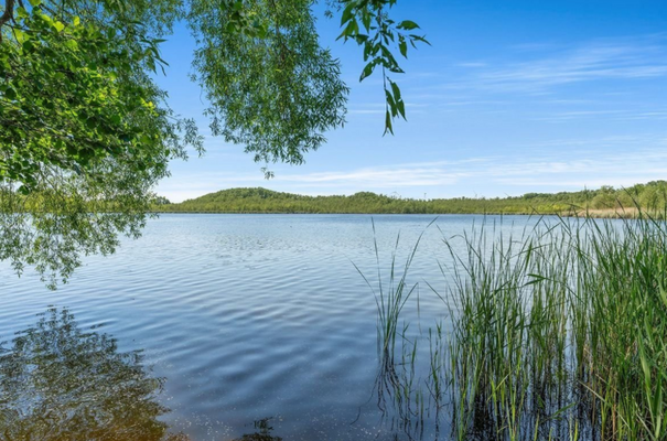 Screenshot 2025-04-01 160320.png