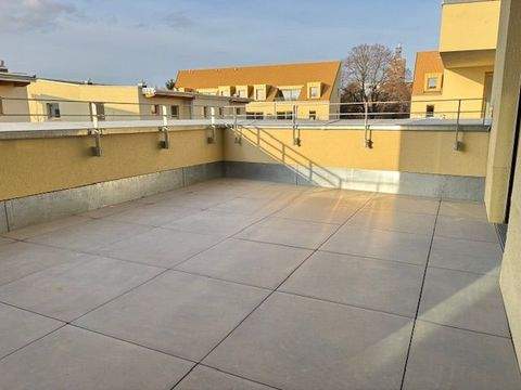 Markkleeberg Wohnungen, Markkleeberg Wohnung mieten