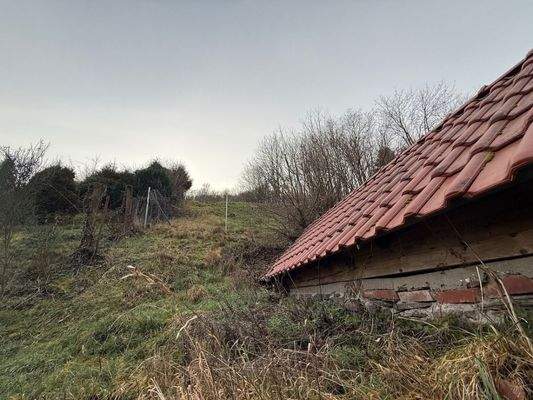 004020156800_302_361_26012026205416300