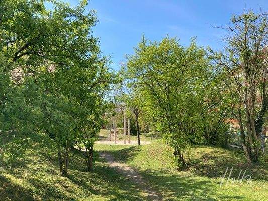 FR-ETW_JM_15_benachbarter_Rieselfeldgraben