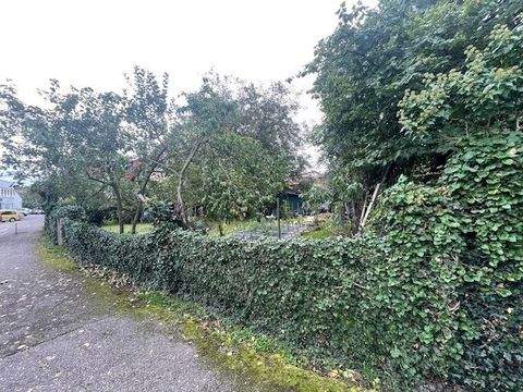 Mosbach Grundstücke, Mosbach Grundstück kaufen