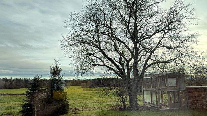 Alleinlage mit Bergsicht