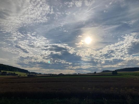 Abendsonne Baugebiet.jpg