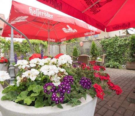 200728_164508_DSC_4676