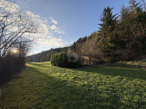 Sulz am Neckar Grundstücke, Sulz am Neckar Grundstück kaufen
