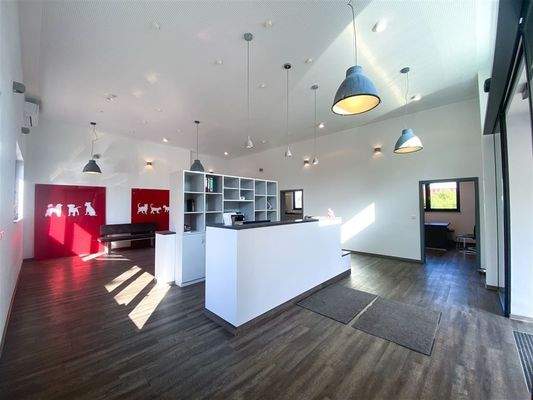 Empfang-/Bürobereich