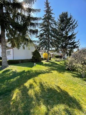 Garten mit Blick zum Haus