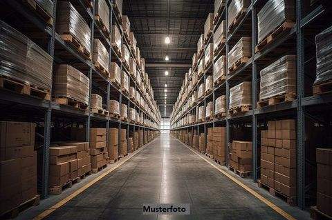 Wernigerode Halle, Wernigerode Hallenfläche