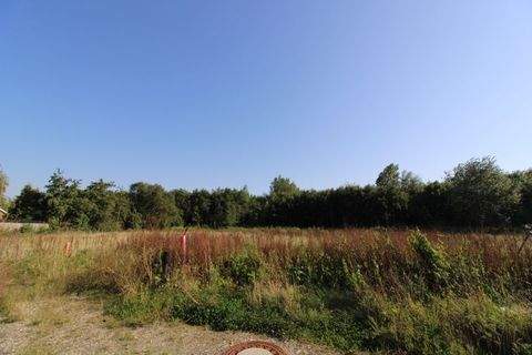 Butjadingen / Eckwarden Grundstücke, Butjadingen / Eckwarden Grundstück kaufen